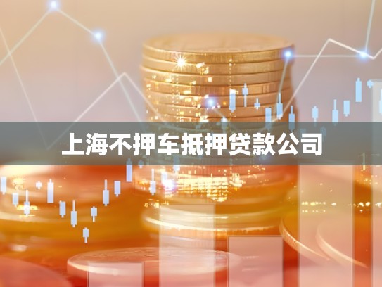 上海不押车抵押贷款公司