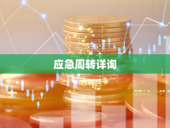 应急周转详询