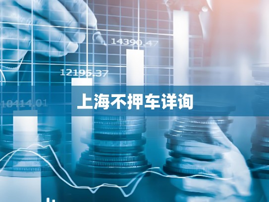 上海不押车详询