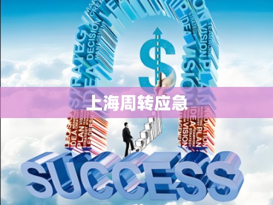 上海周转应急