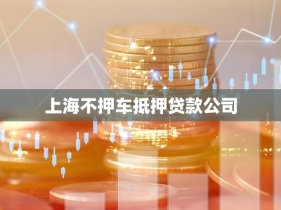 上海不押车抵押贷款公司